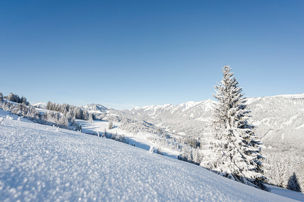 Winterferien für die ganze Familie im Kinderhotel Allgäuer Berghof