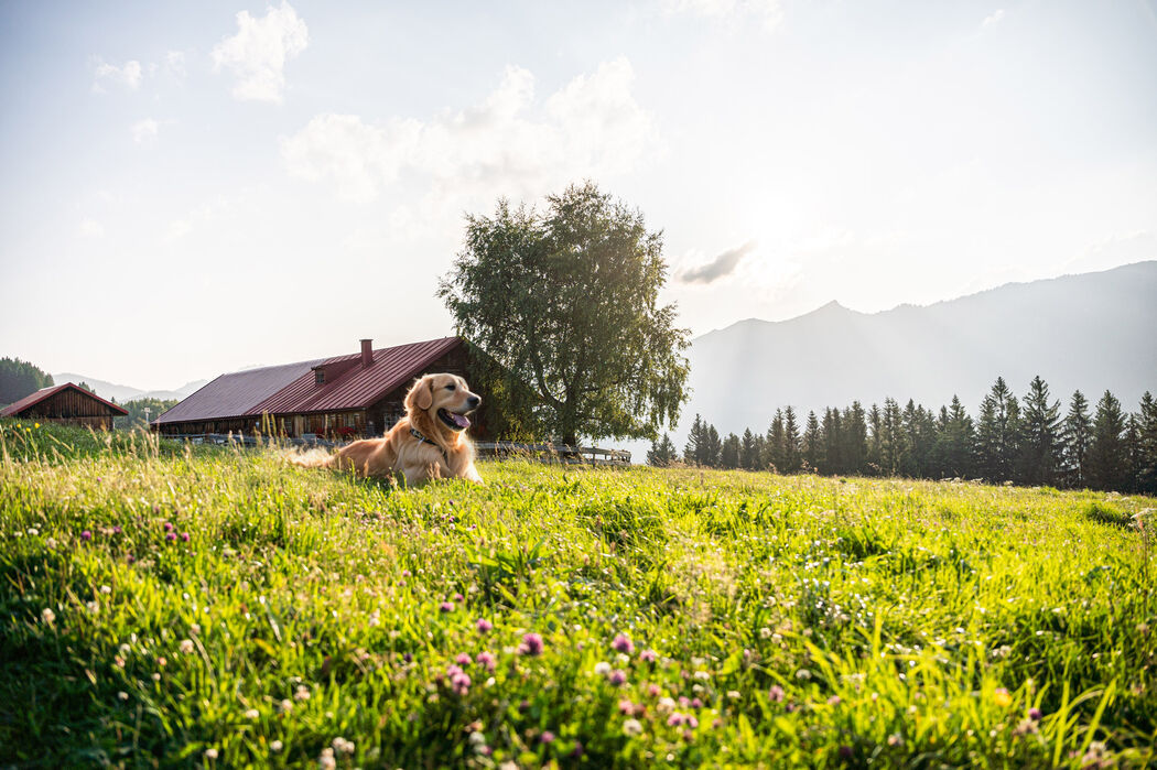 Familienurlaub mit Hund im Kinderhotel Allgäuer Berghof