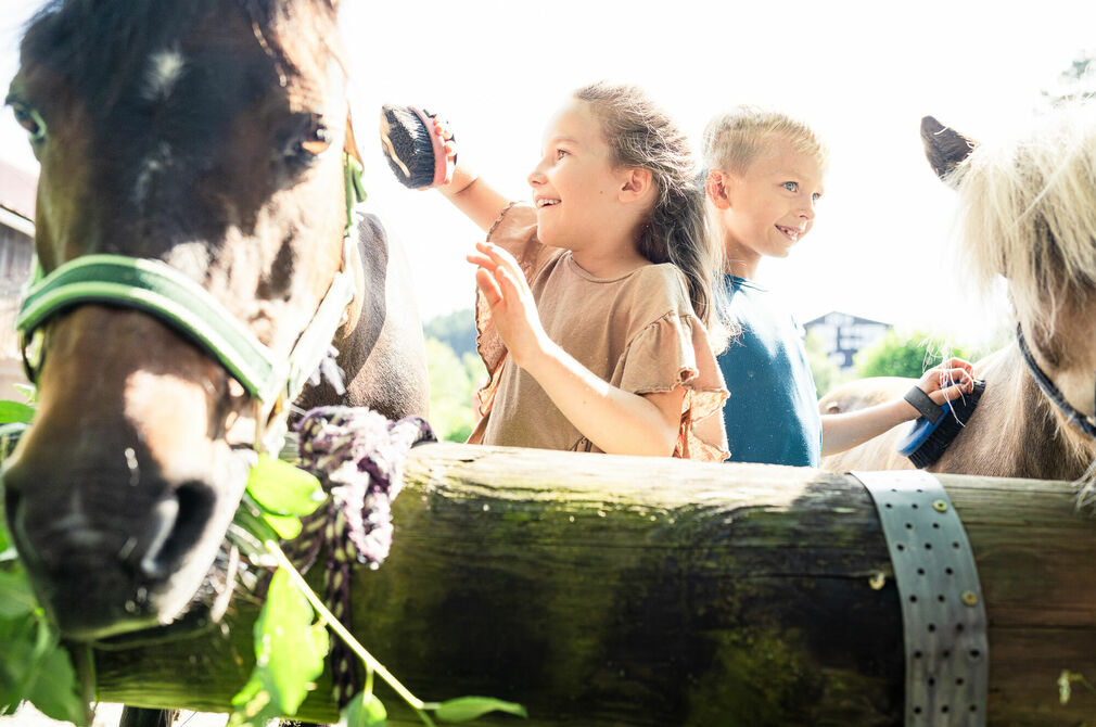Ponys putzen und pflegen im Kinderhotel Allgäuer Berghof