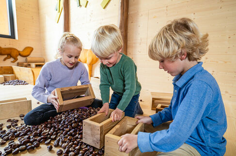 Kastanienspielplatz in der Spielscheune im Kinderhotel Allgäuer Berghof