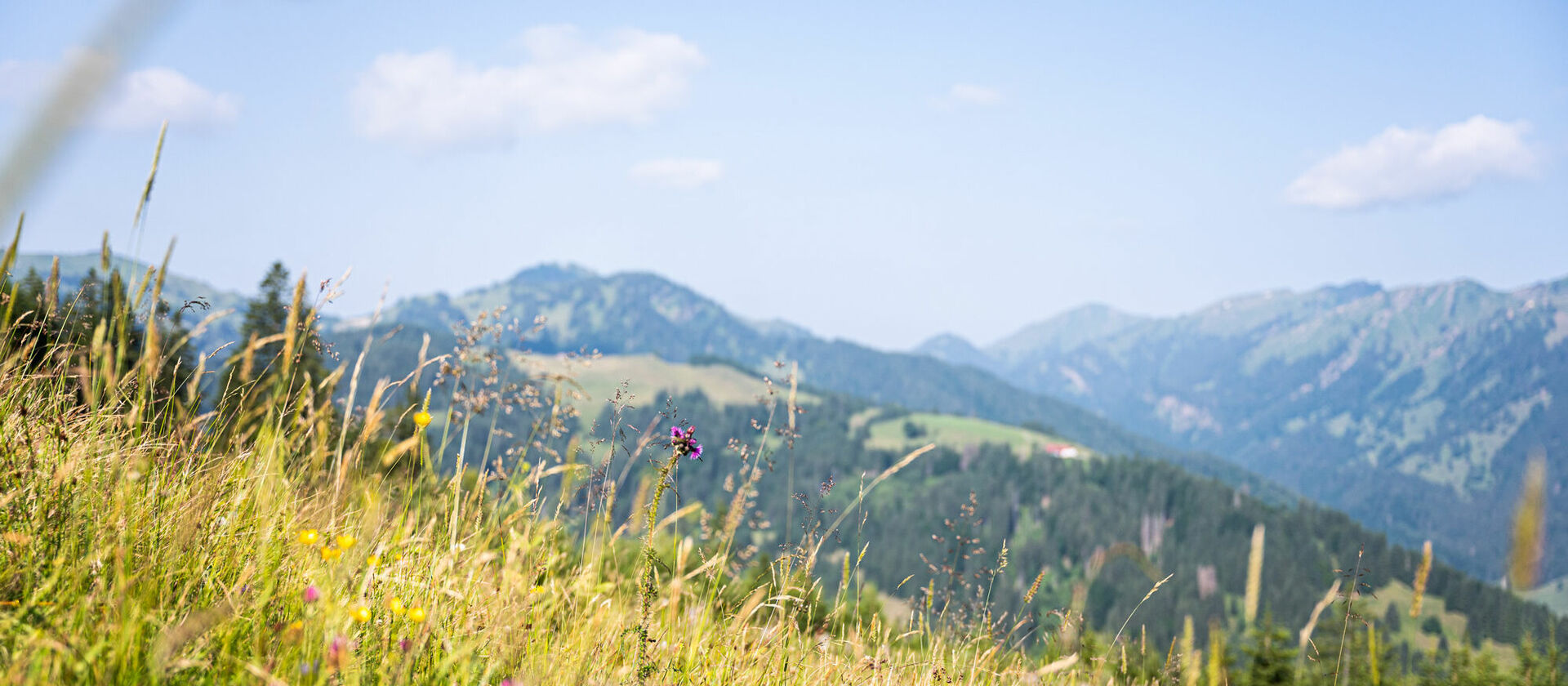 Wandern im Kinderhotel Allgäuer Berghof mit der Familie